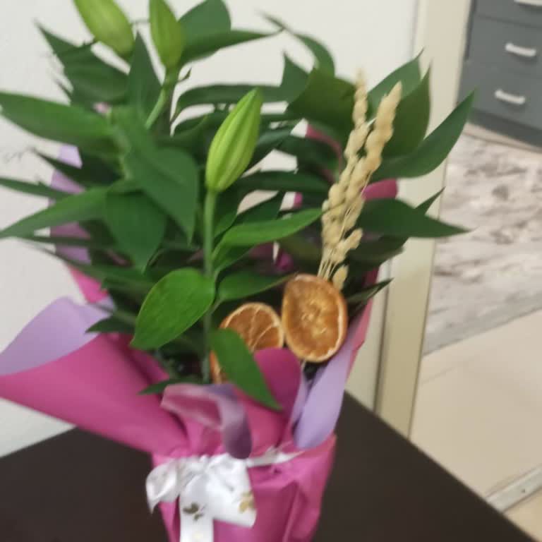 Saksıda Zambak Siparişim Görseldeki Gibi Özenli Ve Sağlıklı Gelmedi