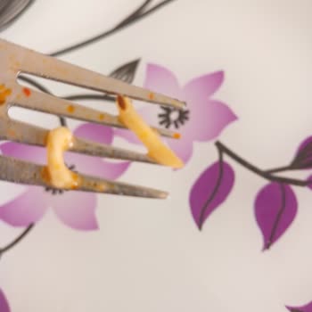 Aldığım Noodle Paketinden Böcek Çıktı, Açıklama Bekliyorum