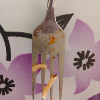 Aldığım Noodle Paketinden Böcek Çıktı, Açıklama Bekliyorum