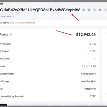 Tronscan Transfer İşlemim Gerçekleşmedi, Mağduriyetim Giderilmiyor