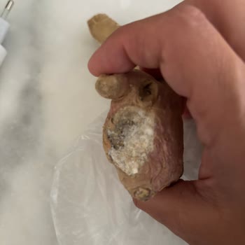 Migros'tan Küflü Ve Bozuk Zencefil Teslimatı, Ücret İadesi Talebim Cevapsız Kaldı