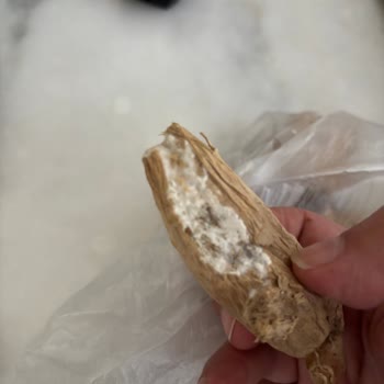 Migros'tan Küflü Ve Bozuk Zencefil Teslimatı, Ücret İadesi Talebim Cevapsız Kaldı