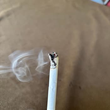 Parliament Midnight Blue Sigarasındaki Sürekli Odun Parçası Sorunu