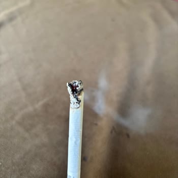 Parliament Midnight Blue Sigarasındaki Sürekli Odun Parçası Sorunu