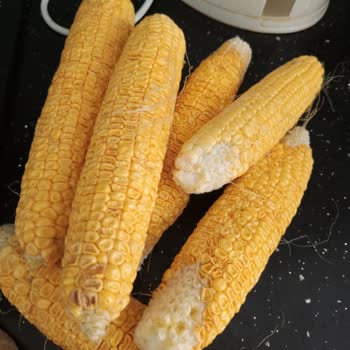 Migros Sanal Marketten Bozuk Ve Hijyensiz Mısır Teslimatı Mağduriyeti