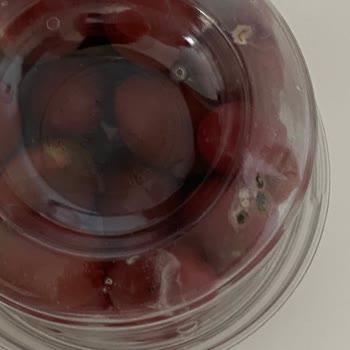 Bozuk Ürünler Teslim Edildi, İade Hala Yapılmadı