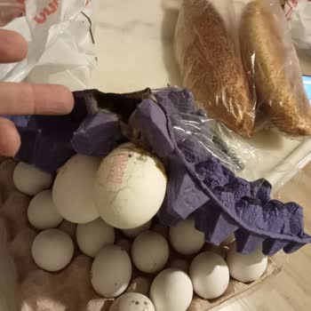 Bozuk Ve Son Kullanım Tarihi Yaklaşan Ürünlerle Sağlığımız Tehlikede!