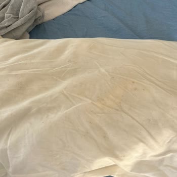 Ciddi Otel Ayvalık'ta Temizlik Sorunları Ve İade Talebi