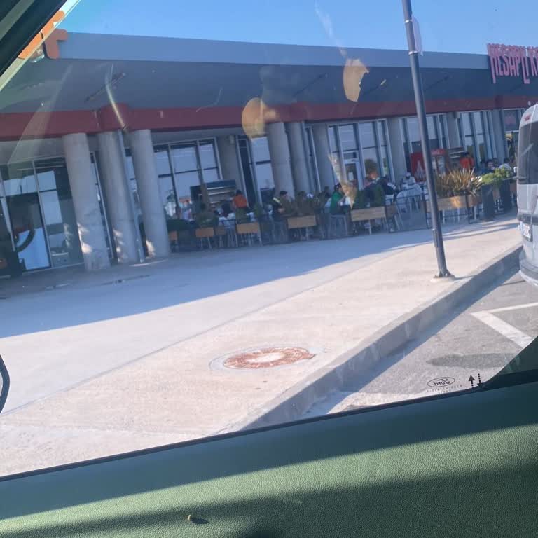 Oksijen Tesisleri Sıcak Havada Kedilerimle Restorana Alınmadım, Çözüm Bekliyorum!