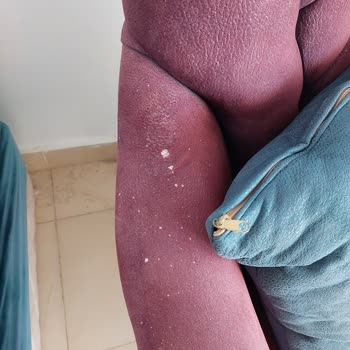 Sharm Bride Otel Ve Tur Programı Tam Bir Hayal Kırıklığı Yaşattı