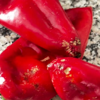 Çürük Ürün Ve İlgisiz Hizmet: Carrefour SA'dan Hayal Kırıklığı