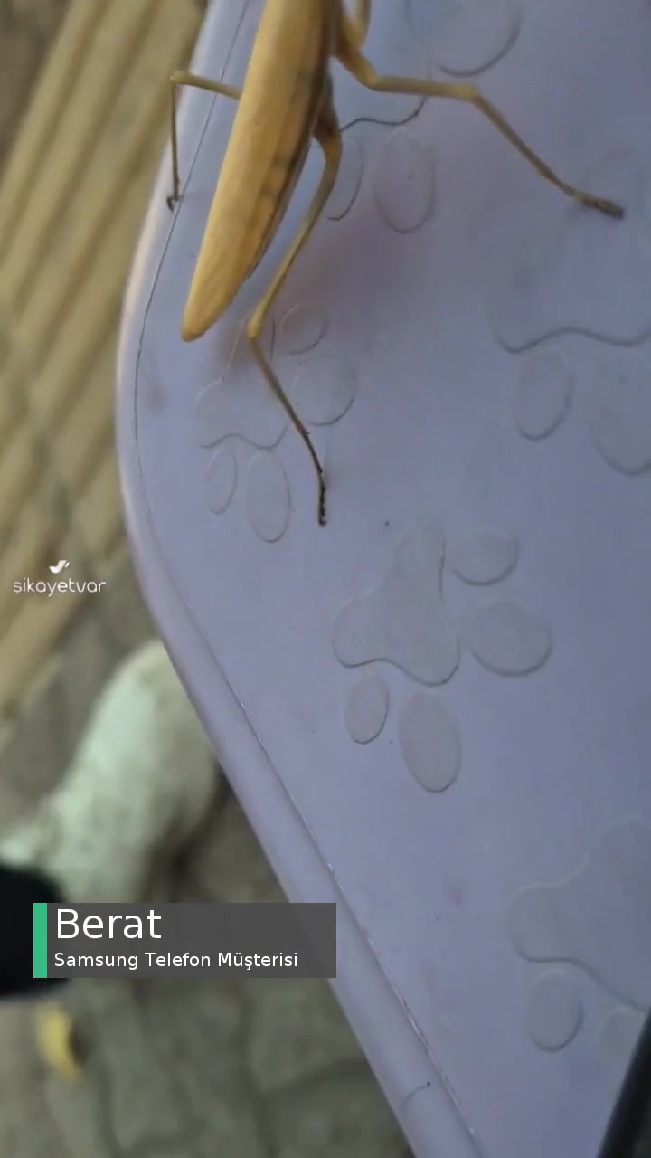 Samsung S24 Ses Sorunu videonun kapak resmi