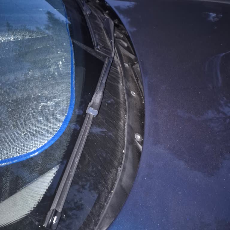 BMW 1.16i Ön Cam Fitili Parçalandı, Ücretsiz Değişim Ve Geri Dönüş Bekliyorum