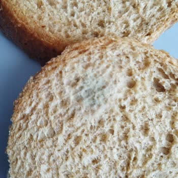 BİMden Alınan Ekmek Bir Günde Küflendi Mağduriyetimizin Giderilmesini İstiyoruz