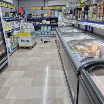 BİM Market İçinde Kedi Var