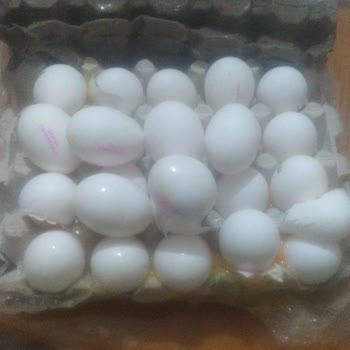 Migros Sanal Market'te Geç Teslimat Ve Kırık Yumurta Mağduriyeti