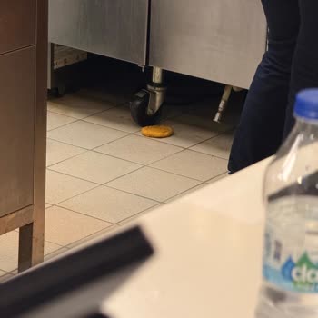 Düşen Tavuğun Yerden Alınmaması Ve Hijyen Eksikliği