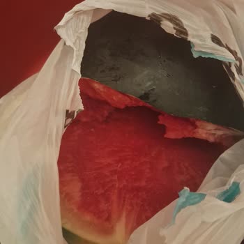 A101'den Aldığım Çürük Karpuzun İadesi Kabul Edilmedi, Mağdur Oldum