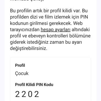 Netflix Hesabımda İzinsiz Para Çekimi Ve Güvenlik İhlali