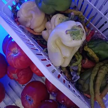 Arızalı Buzdolabı Yüzünden Maddi Kayıp Ve Çözülmeyen Sorun