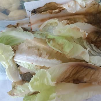 Arızalı Buzdolabı Yüzünden Maddi Kayıp Ve Çözülmeyen Sorun