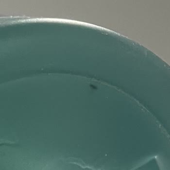 Müşteri Deneyimini Umursamayan Marka Ve İade Sorunu