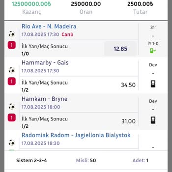 Otomatik Misli Ayarı Nedeniyle Yüksek Tutar Kaybı Ve Müşteri Hizmetleri İlgisizliği