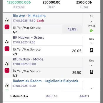 Otomatik Misli Ayarı Nedeniyle Yüksek Tutar Kaybı Ve Müşteri Hizmetleri İlgisizliği