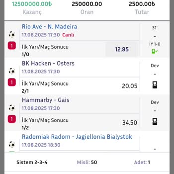 Otomatik Misli Ayarı Nedeniyle Yüksek Tutar Kaybı Ve Müşteri Hizmetleri İlgisizliği