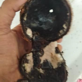 Migros'tan Aldığım Hindistan Cevizi Küflü Ve Bozuk Çıktı, Para İadesi İstiyorum