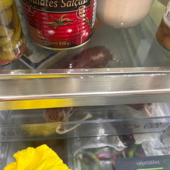 Bosch Buzdolabı İç Aksesuarlarında Hızlı Kaplama Soyulması ve Garanti Talebi