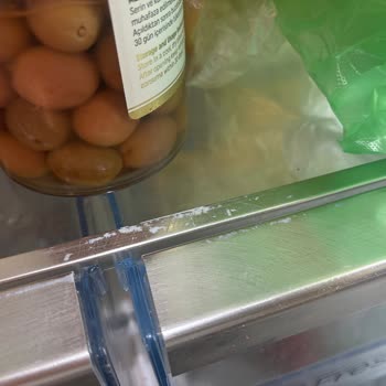 Bosch Buzdolabı İç Aksesuarlarında Hızlı Kaplama Soyulması ve Garanti Talebi