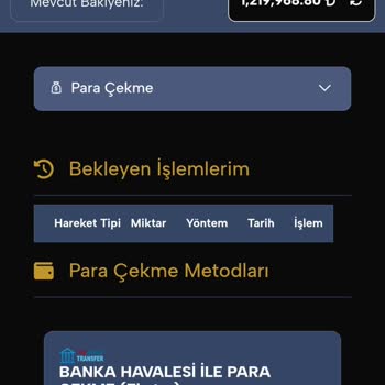 Sweet Bonanza Kazandığım Parayı Çekemiyorum, Destek Yanıt Vermiyor
