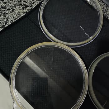 Garanti Kapsamındaki Saklama Kaplarında Çatlak Oluştu, Müşteri Hizmetleri Yardımcı Olmadı