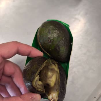 Bozuk Avokado İadesinde Fiş Engeli Ve Yetersiz Destek