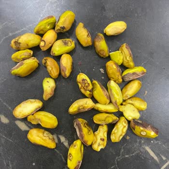 Markalı Fıstıkta Beklenmeyen Kalite Sorunu