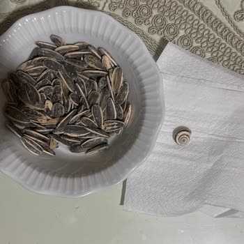 Aldığım Çekirdeğin İçinden Salyangoz Çıktı Hijyen Konusunda Endişeliyim