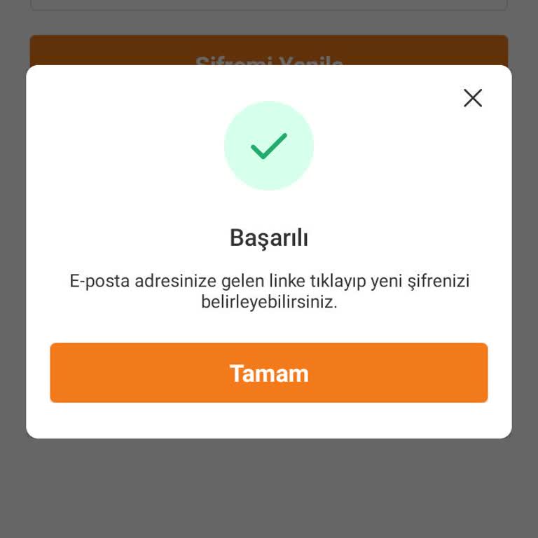 Şifre Sıfırlama Linki Gelmiyor, Hesabıma Erişemiyorum!