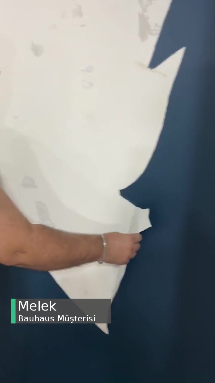 Bauhaus Soyulan Boya videonun kapak resmi