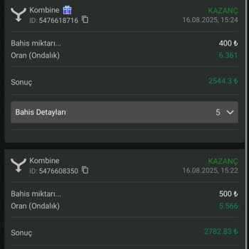 Kazancım IP Çakışması Gerekçesiyle Silindi Mağdurum