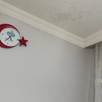 Patlayan Kefir Nedeniyle Maddi Zarar Ve Hayal Kırıklığı