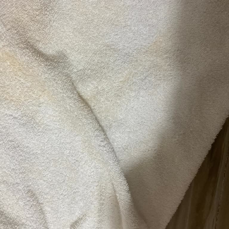 Kükürtlü Su Nedeniyle Havlu İçin Haksız Ücret Talebi