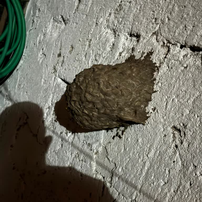 İstanbul İtfaiyesi Hayati Tehlike Karşısında Kurumlar Arasında Kaybolan Vatandaş