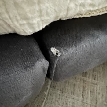 Yeni Alınan Yatakta Kumaş Yırtığı Ve Müşteri Hizmetlerine Ulaşılamıyor