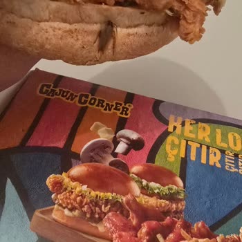 Siparişimde Hamam Böceği Çıktı, Hijyen Ve Denetim Talebim Var