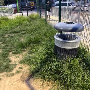 Köpek Oyun Alanında Temizlik Ve Güvenlik Sorunu