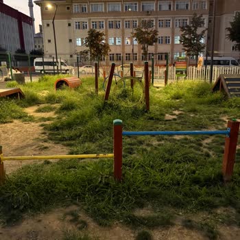 Köpek Oyun Alanında Temizlik Ve Güvenlik Sorunu