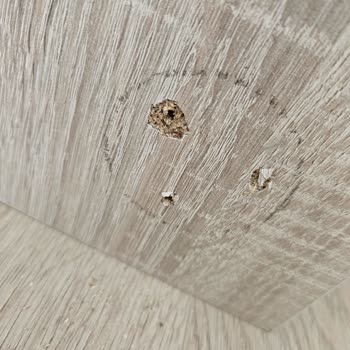 Vivense'den Aldığım Tüm Mobilyalarda Montaj Ve Kalite Sorunları Yaşadım