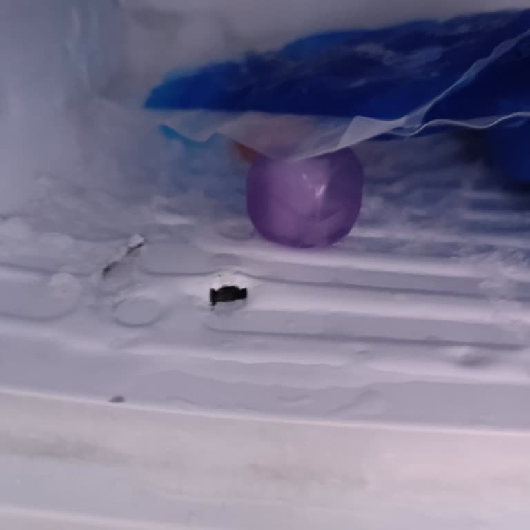 Buzlukta Sürekli Buzlanma Ve Garanti Kapsamında Çözüm Eksikliği