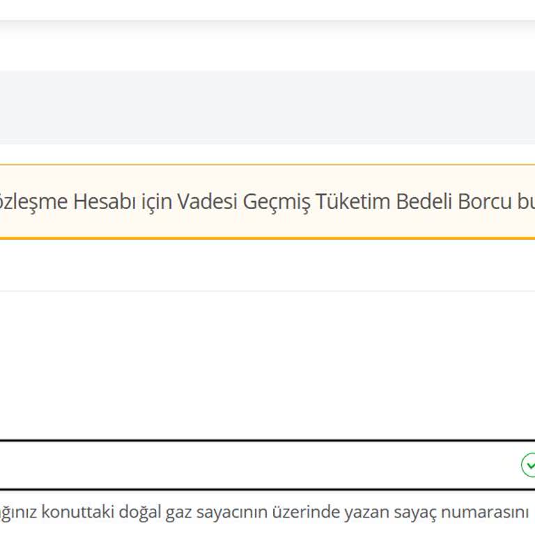 Önceki Kiracı Borcu Nedeniyle Yeni Doğalgaz Aboneliği Yapılamıyor